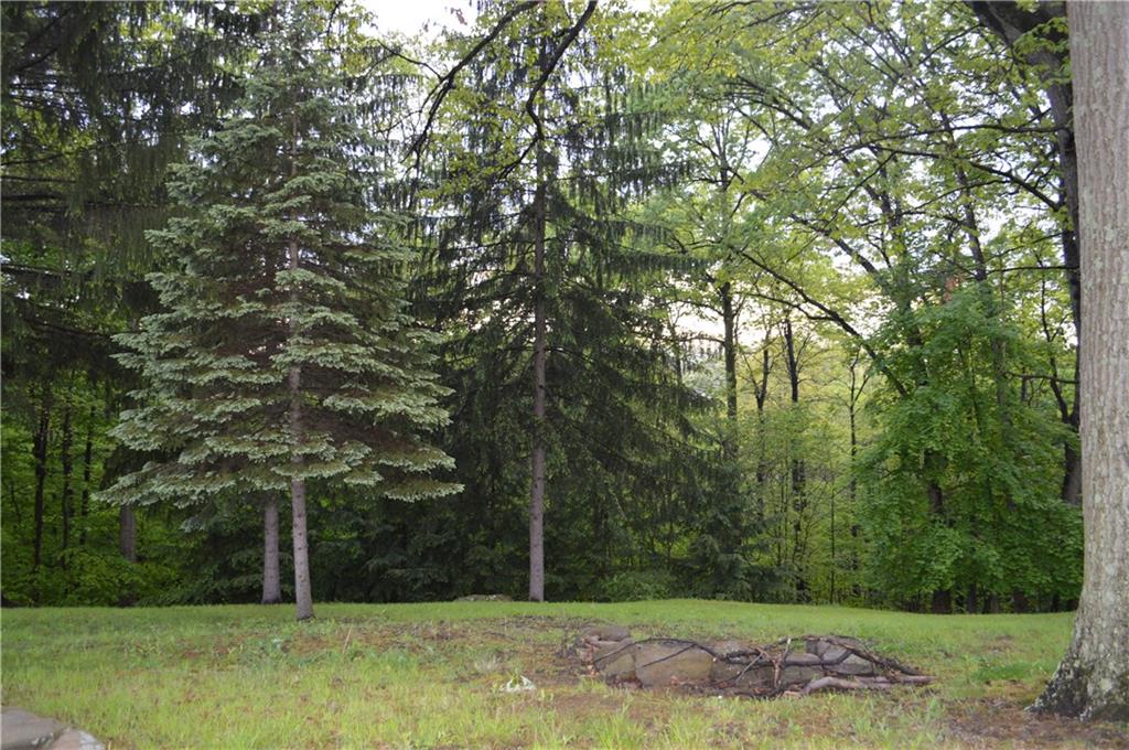 Mother nature at its best in the back yard!  Enjoy the fire pit or star gazing!