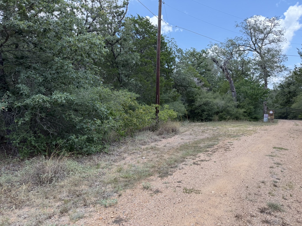 Tbd Red Fox Lane Bastrop, TX 78602 - Photo 13 of 14 Mature trees and lush greenery flank a gravel driveway leading to a private entrance.