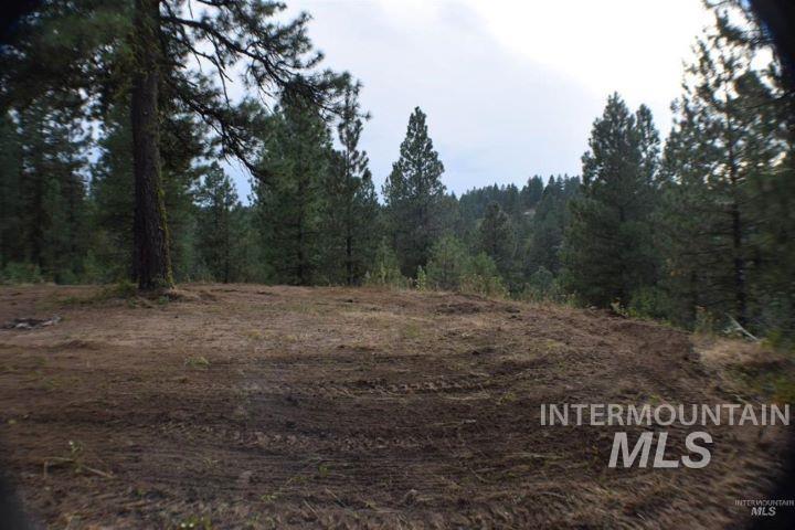 Lot 12 Payette River Ranch Horseshoe Bend, ID 83629 - Photo 11 of 31