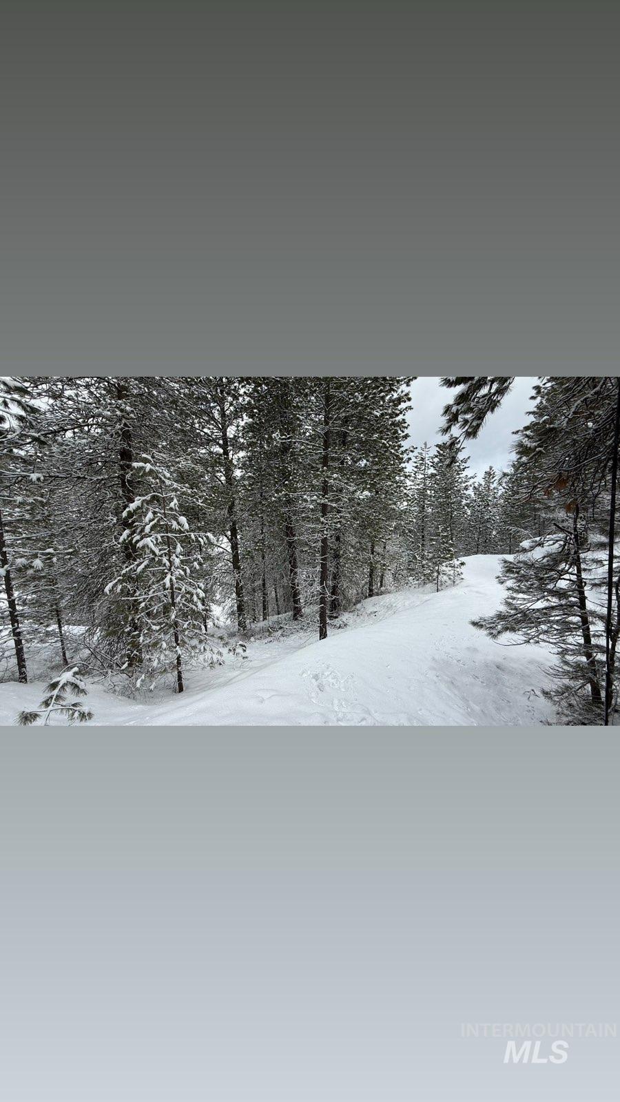 Lot 12 Payette River Ranch Horseshoe Bend, ID 83629 - Photo 14 of 31