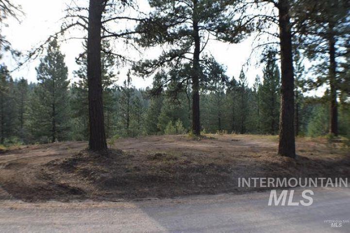 Lot 12 Payette River Ranch Horseshoe Bend, ID 83629 - Photo 2 of 31