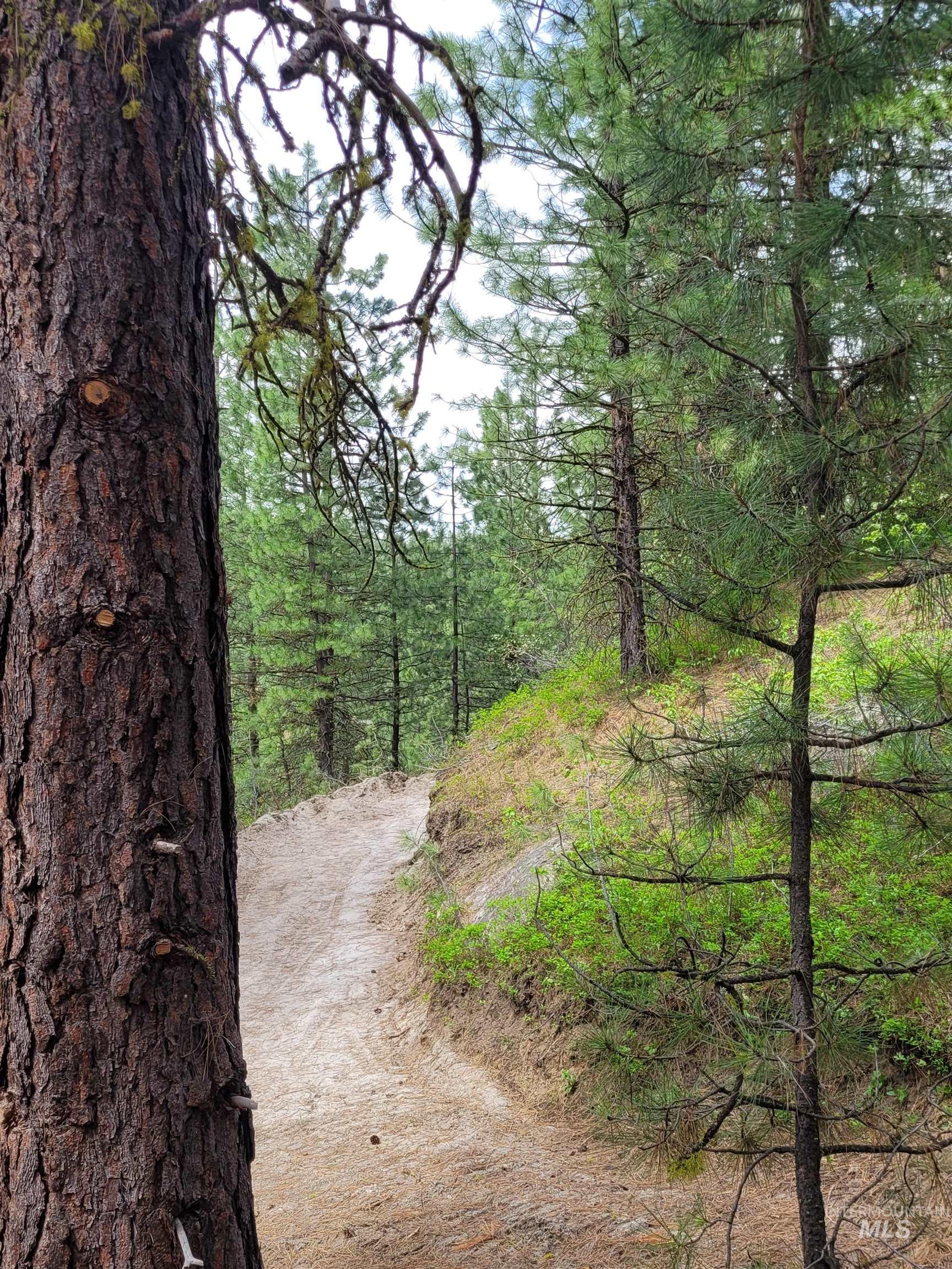 Lot 12 Payette River Ranch Horseshoe Bend, ID 83629 - Photo 28 of 31