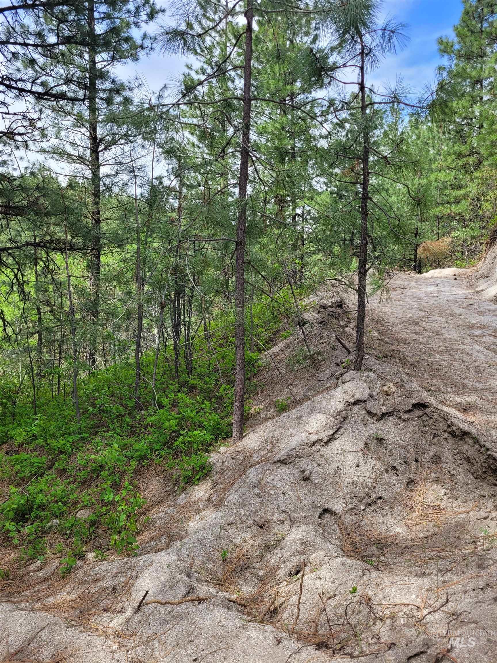 Lot 12 Payette River Ranch Horseshoe Bend, ID 83629 - Photo 30 of 31