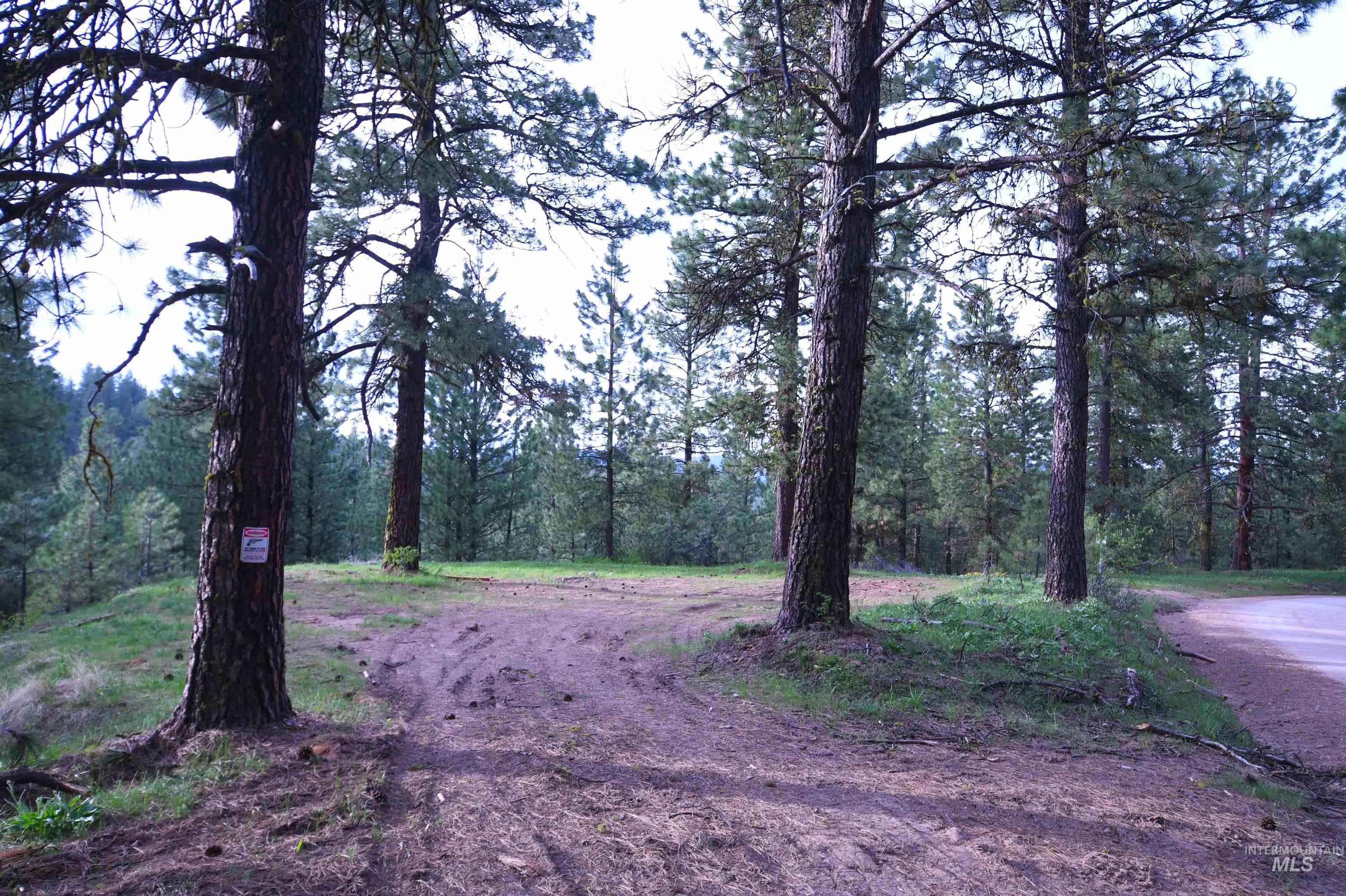 Lot 12 Payette River Ranch Horseshoe Bend, ID 83629 - Photo 3 of 31