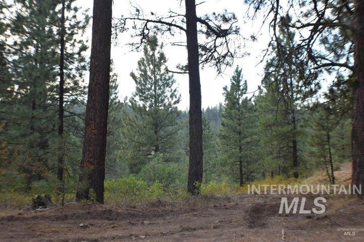 Lot 12 Payette River Ranch Horseshoe Bend, ID 83629 - Photo 4 of 31