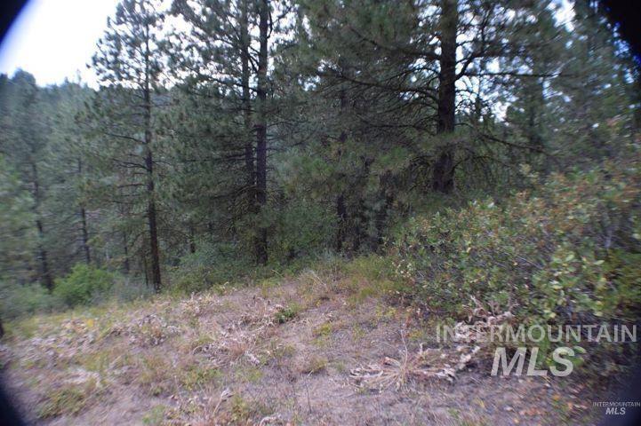 Lot 12 Payette River Ranch Horseshoe Bend, ID 83629 - Photo 5 of 31