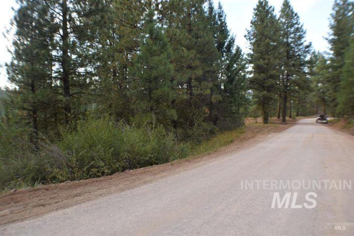 Lot 12 Payette River Ranch Horseshoe Bend, ID 83629 - Photo 8 of 31