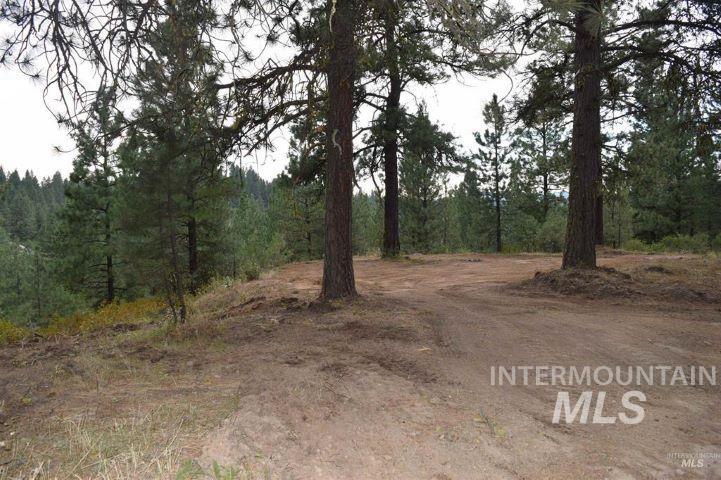 Lot 12 Payette River Ranch Horseshoe Bend, ID 83629 - Photo 10 of 31