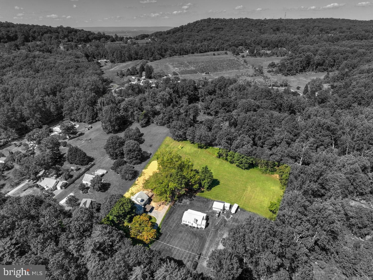 483 Angora Road Reading, PA 19606 - Photo 62 of 73 a view of a garden with a lot of trees