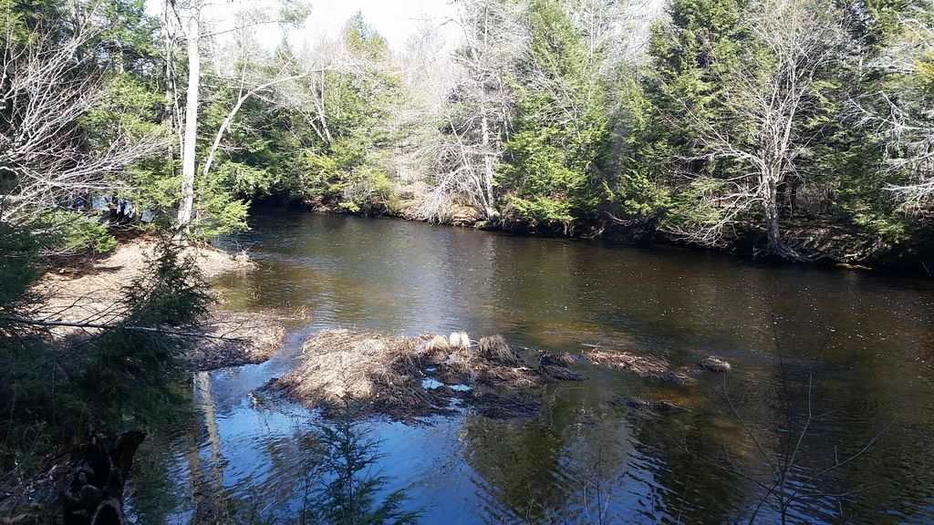 76 Parker Mountain Road Barrington, NH 03825 - Photo 36 of 40 Gallery Image 36