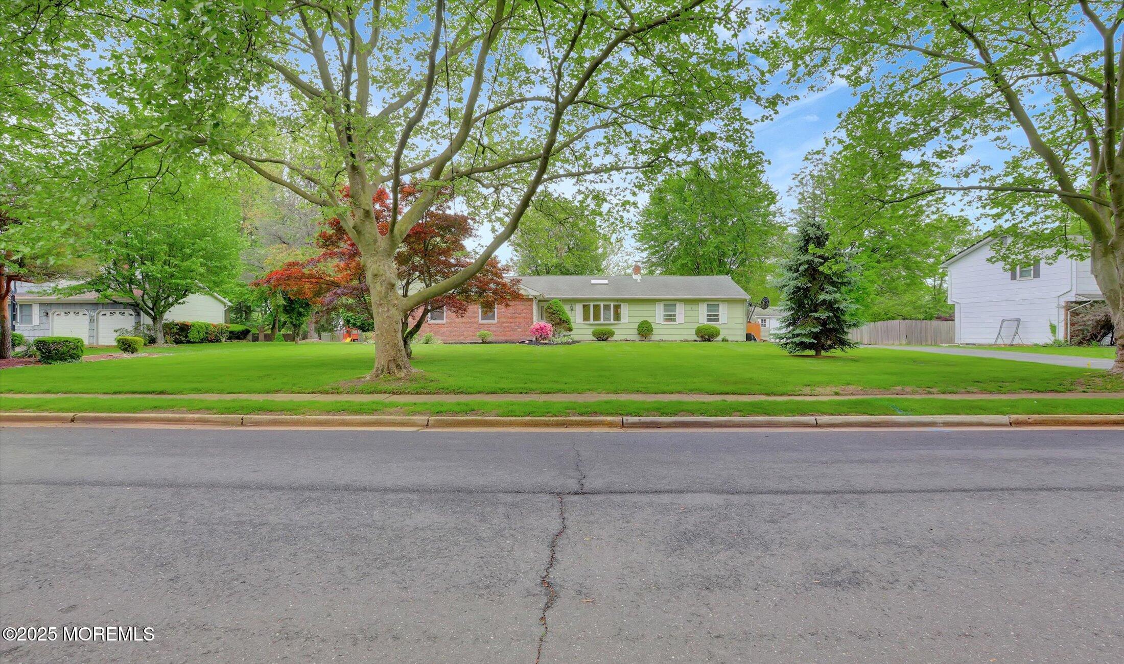 159 Koster Drive Freehold, NJ 07728 - Photo 4 of 37 a view of a house with a big yard and large trees