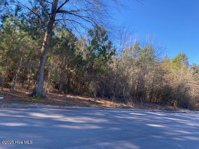 0 Yukon Road South Wilson, NC 27893 - Photo 6 of 8 IMG_7124