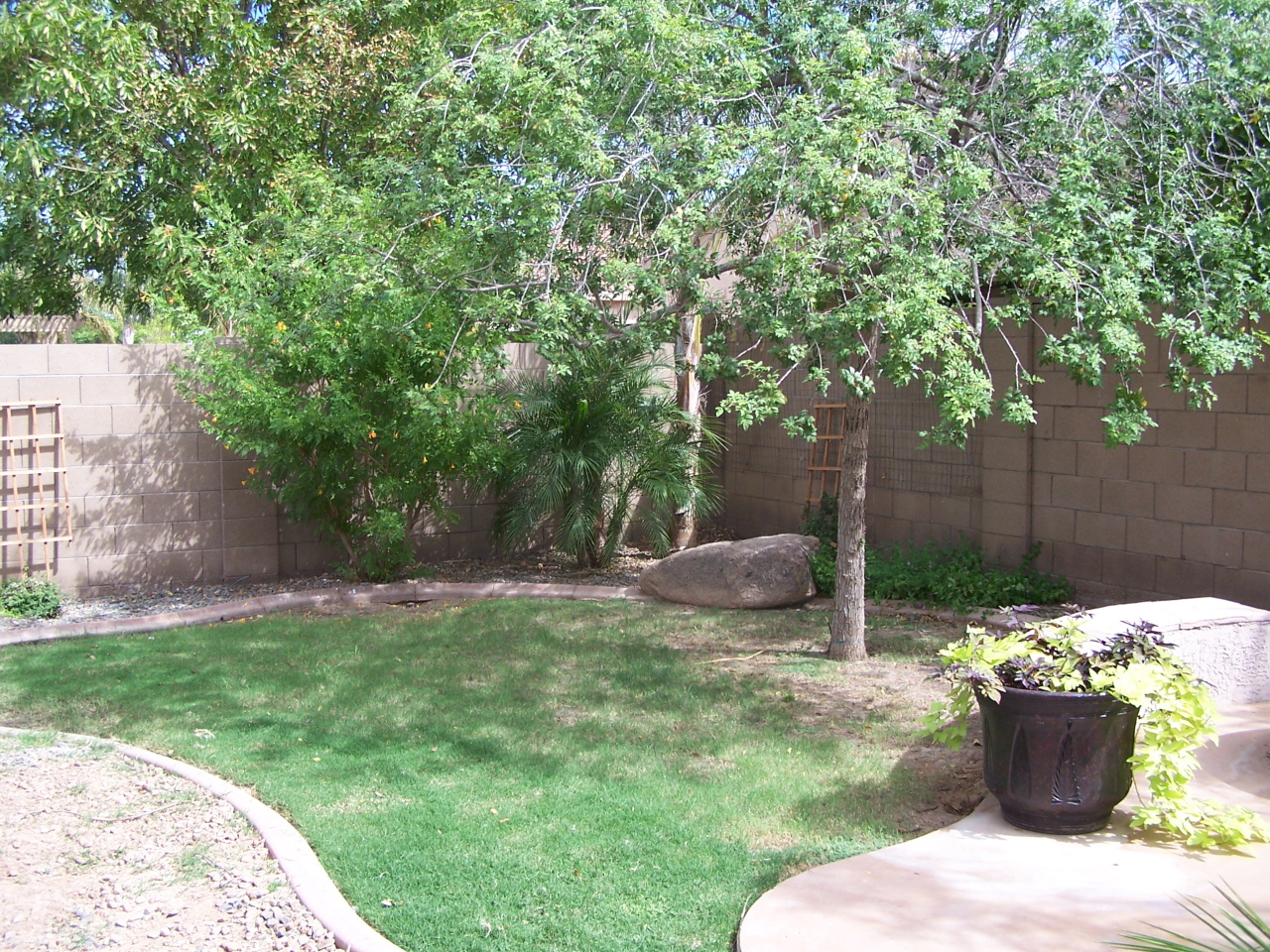 4293 East Reins Road Gilbert, AZ 85297 - Photo 6 of 6 Yard