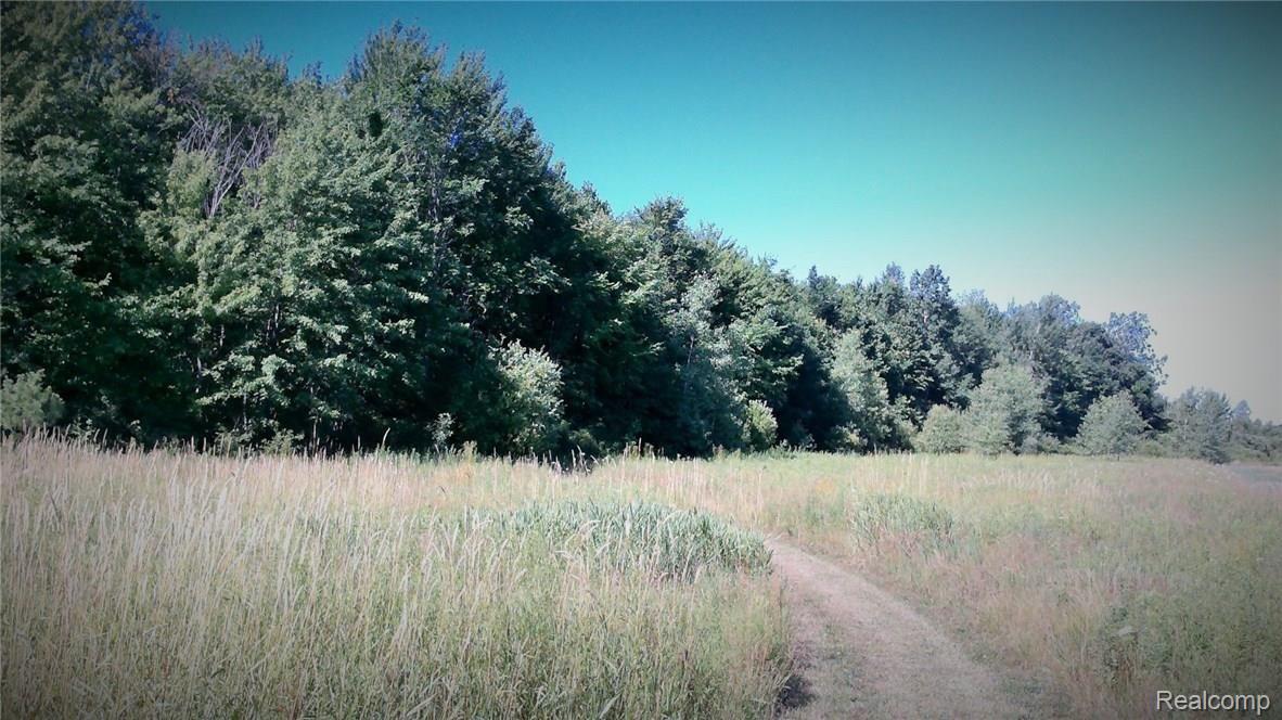 8757 Brown Road Avoca, MI 48006 - Photo 37 of 44 WIN_20160726_102723.JPG