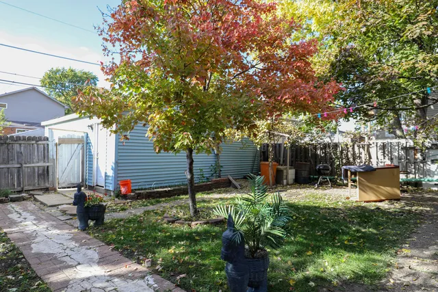 a view of a backyard with plants and a large tree