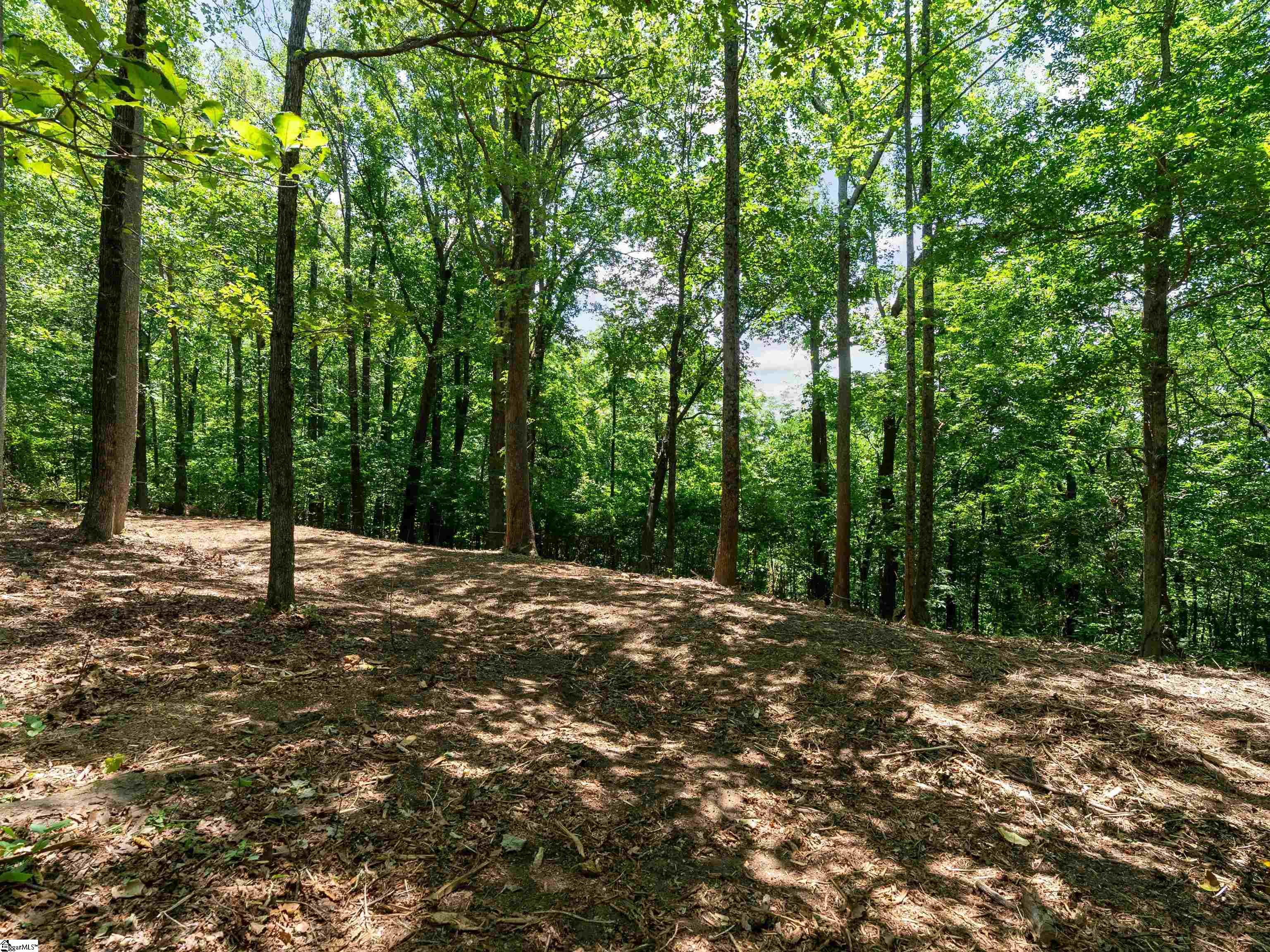 Lot 22 Plumley Summit Road Landrum, SC 29356 - Photo 19 of 27