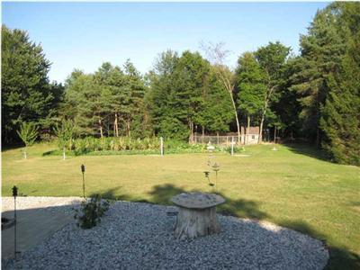 242 Wyman Road Northeast Stanton, MI 48888 - Photo 14 of 15 Additional Photo