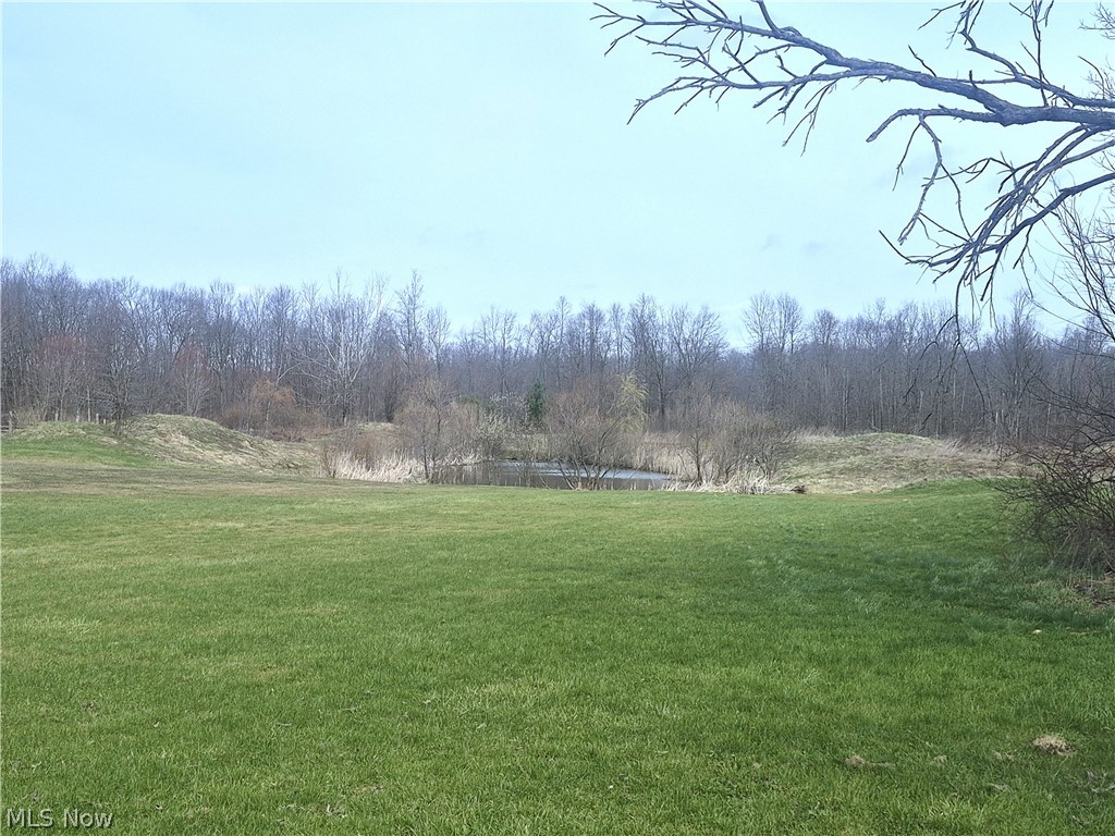 7695 Norton Road Garrettsville, OH 44231 - Photo 5 of 16