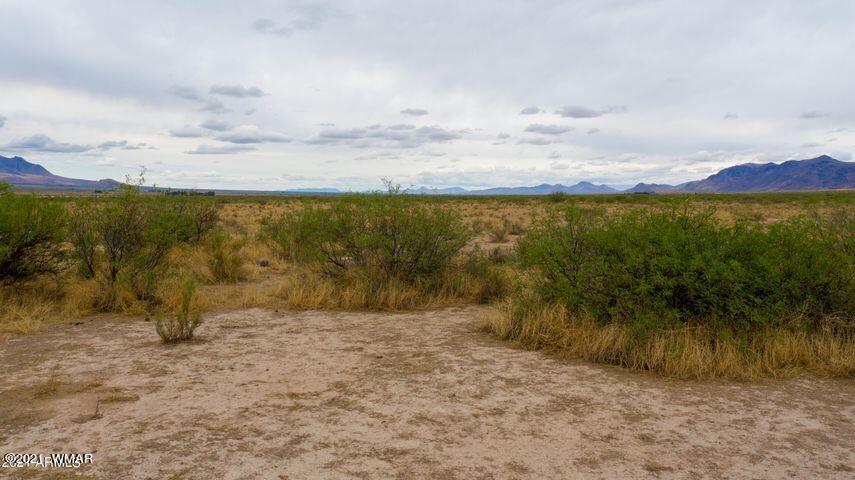3 Triangle Ranches San Simon, AZ 85632 - Photo 15 of 21 Gallery Image 15