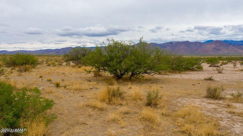 3 Triangle Ranches San Simon, AZ 85632 - Photo 6 of 21 Gallery Image 6