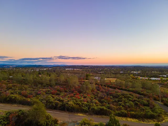 a view of house in front of a big yard with plants and large trees