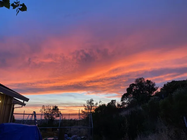 a view of ocean view with lots of trees