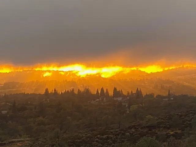 a view of house with a big yard and large trees
