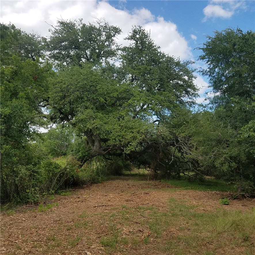 4 Callihan Road Luling, TX 78648 - Photo 1 of 1