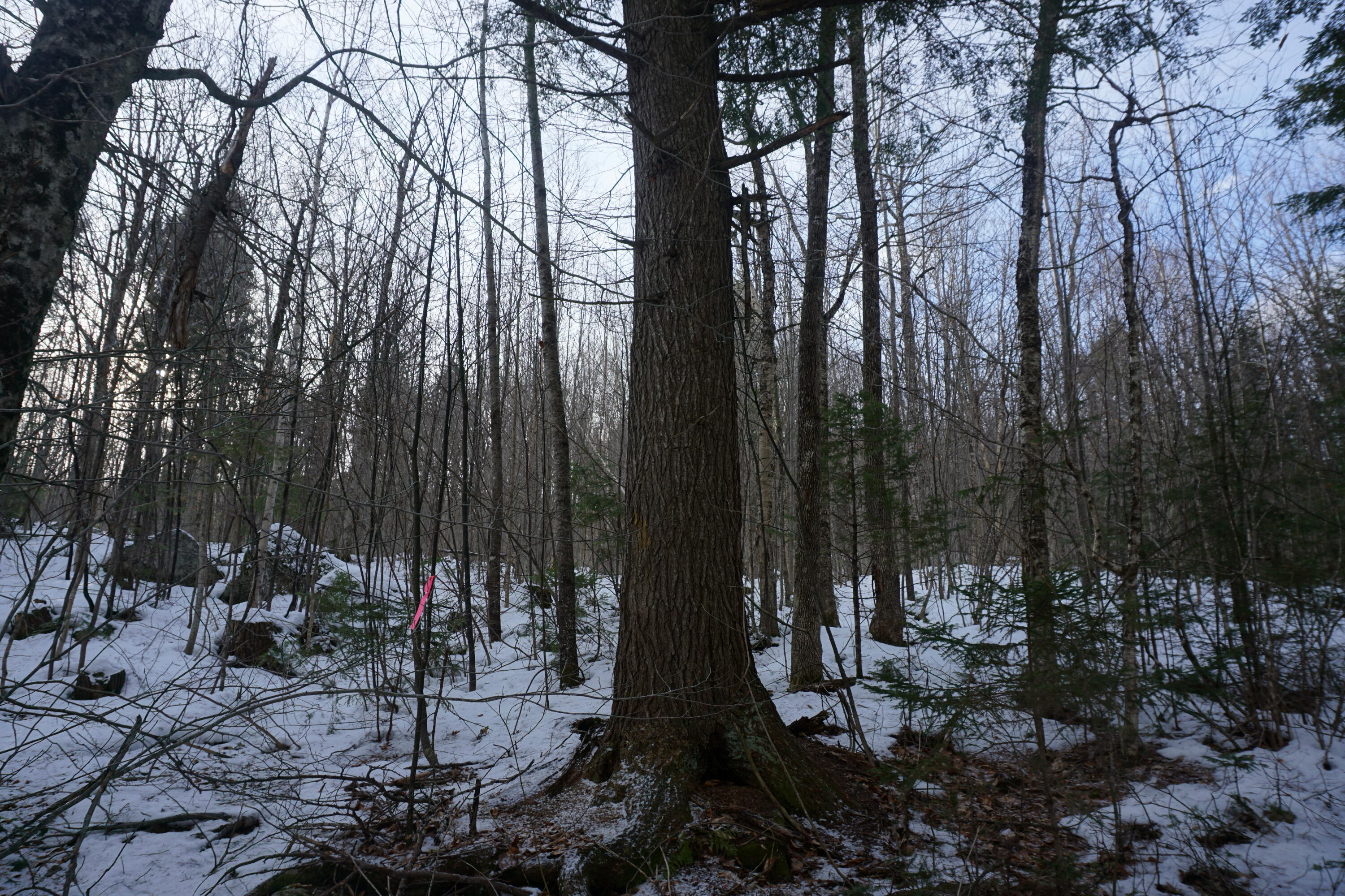 M13-l18a-2 Redding Road Bryant Pond, ME 04219 - Photo 25 of 29 DSC04794