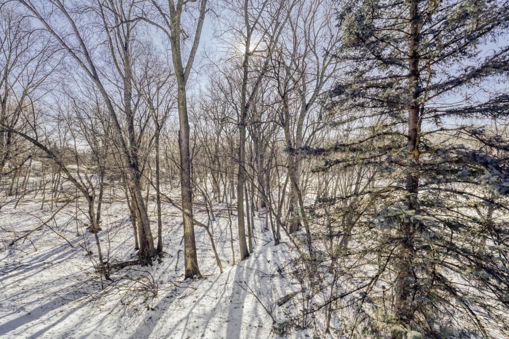 500 County B Road West, Unit 202 Roseville, MN 55113 - Photo 28 of 28