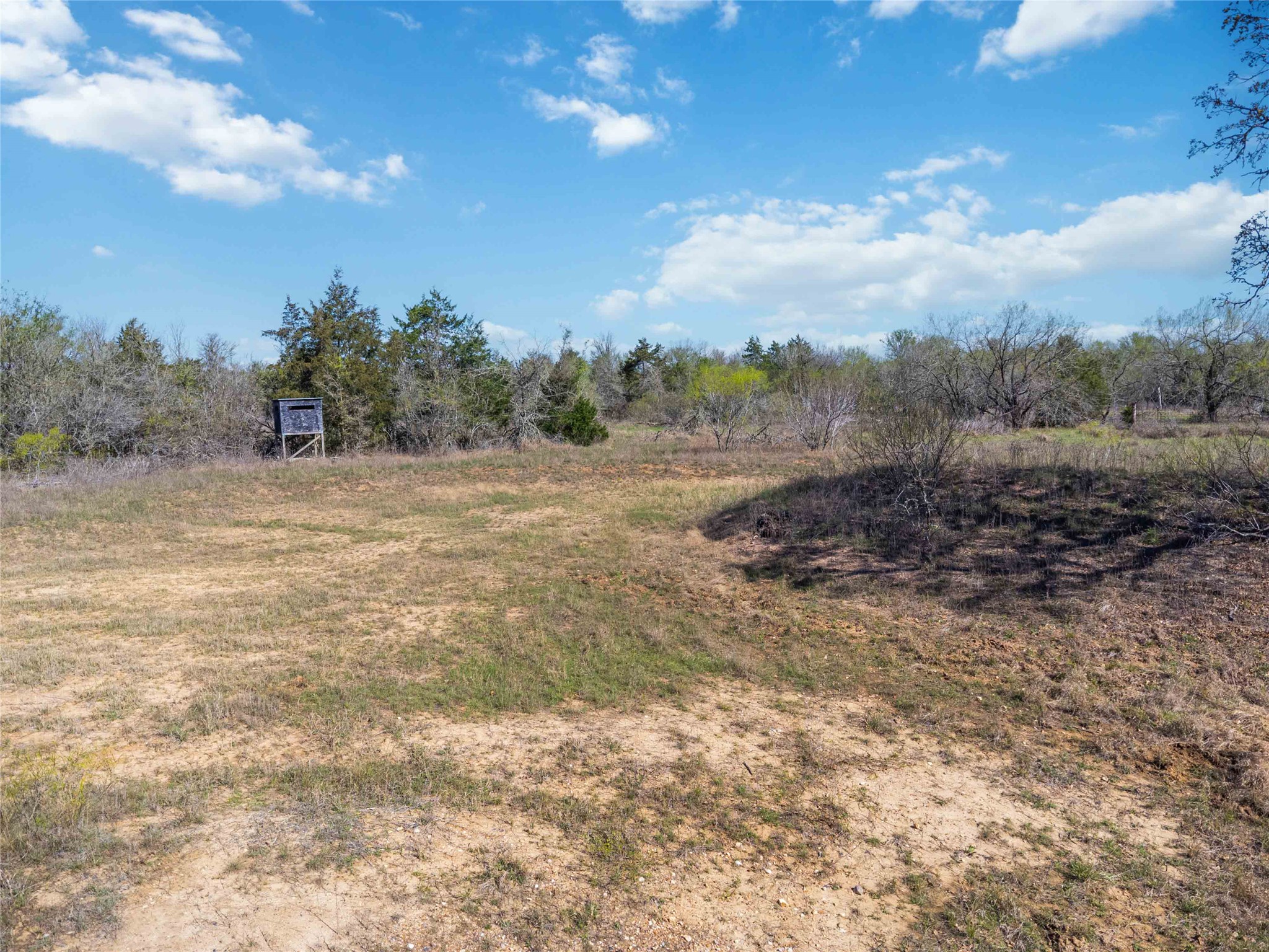 0 Sandy Creek Road Red Rock, TX 78662 - Photo 3 of 12