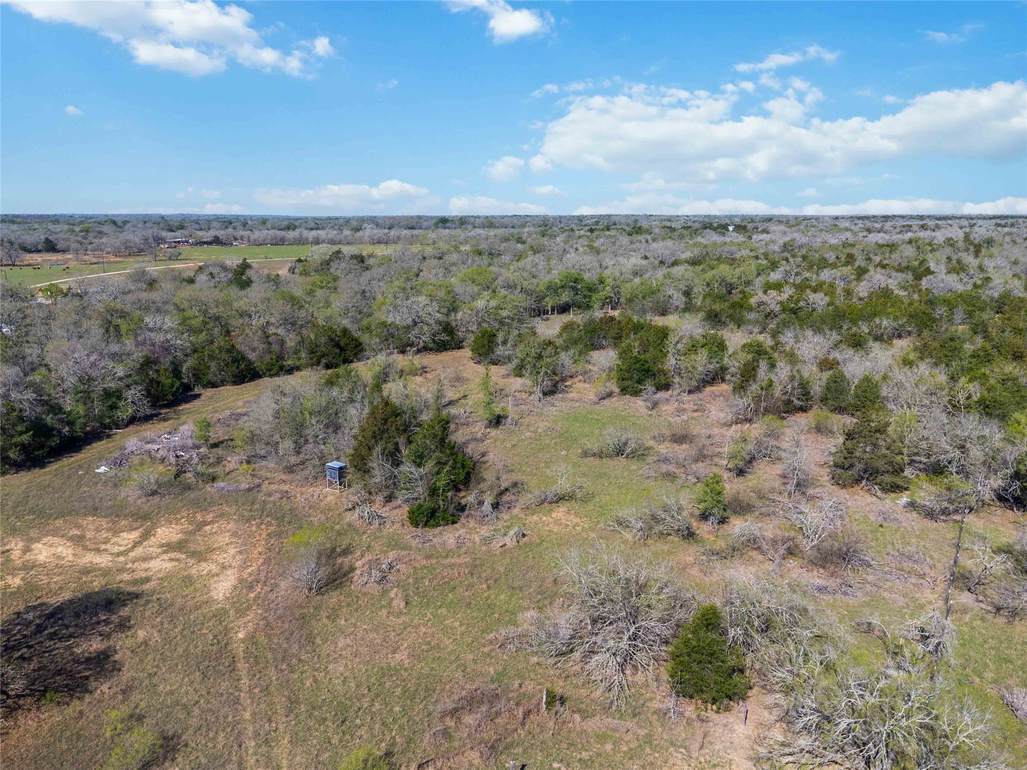 0 Sandy Creek Road Red Rock, TX 78662 - Photo 4 of 12