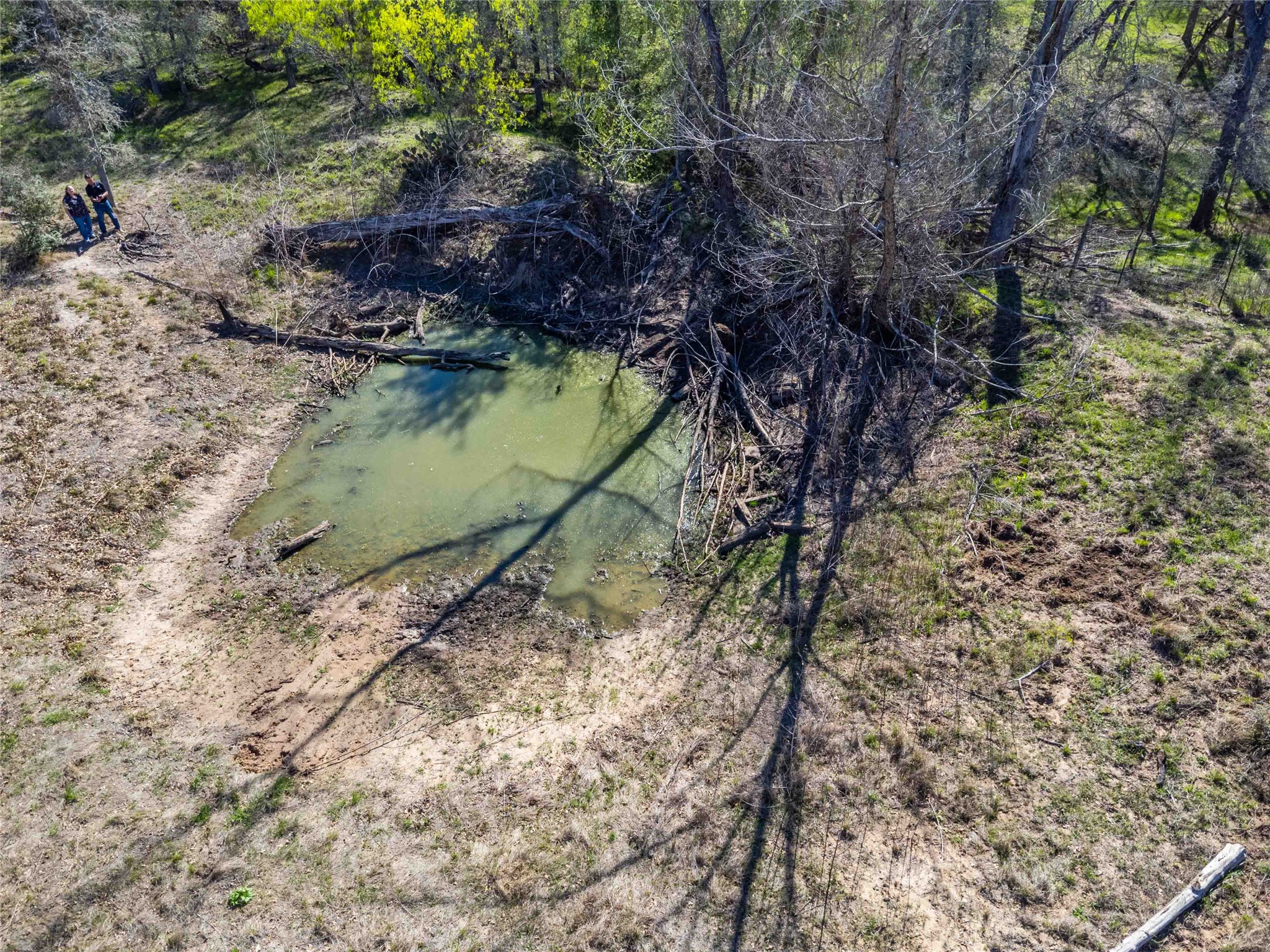 0 Sandy Creek Road Red Rock, TX 78662 - Photo 6 of 12