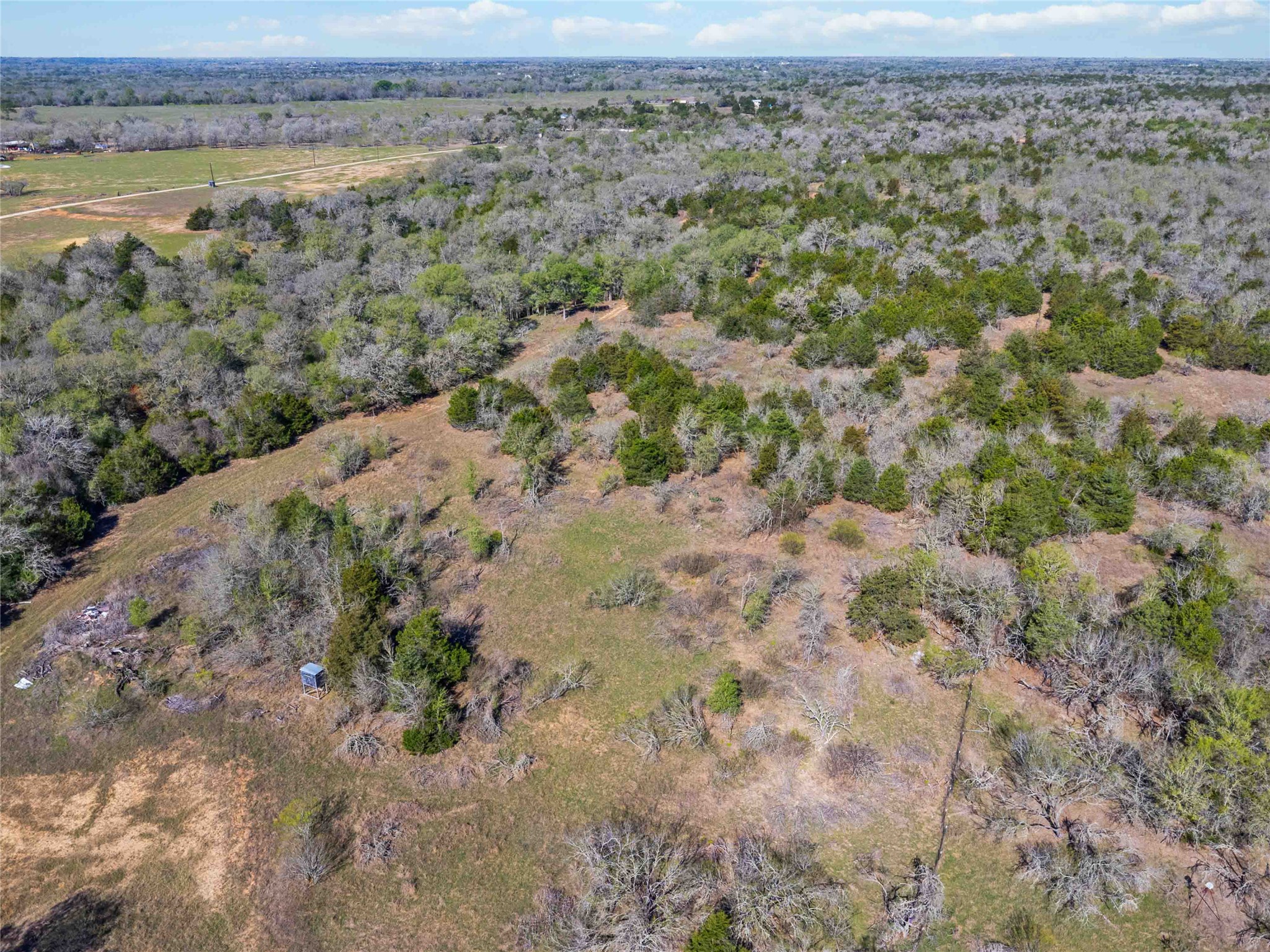 0 Sandy Creek Road Red Rock, TX 78662 - Photo 9 of 12