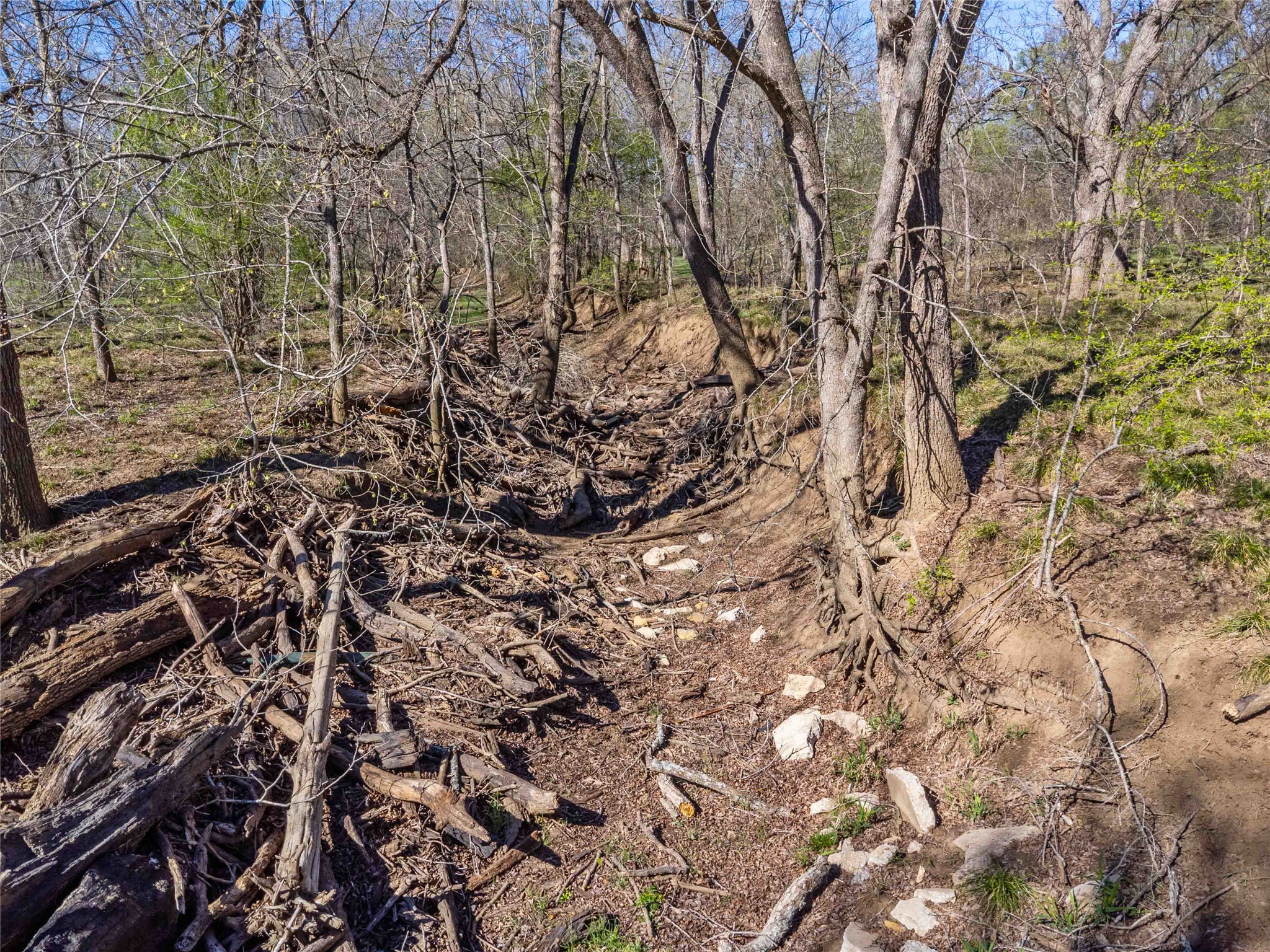 0 Sandy Creek Road Red Rock, TX 78662 - Photo 10 of 12