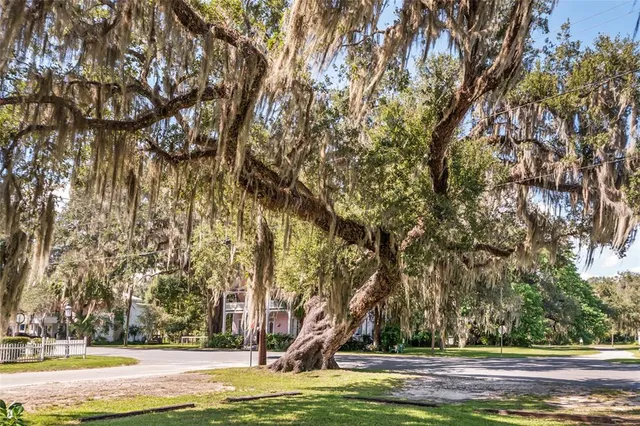a view of a garden with large trees