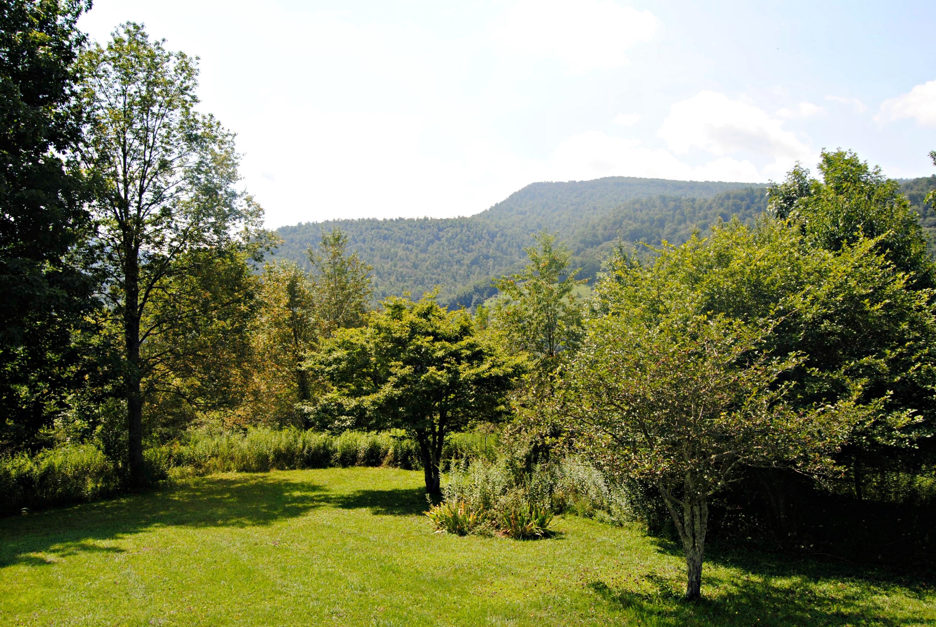 Lot 6 Hickory Hill Road Slatyfork, WV 26291 - Photo 13 of 13 Gallery Image 13