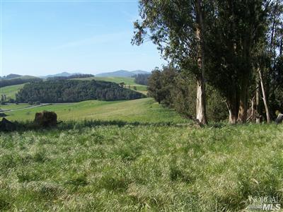 680 Mecham Road Petaluma, CA 94952 - Photo 4 of 5 Gallery Image 4