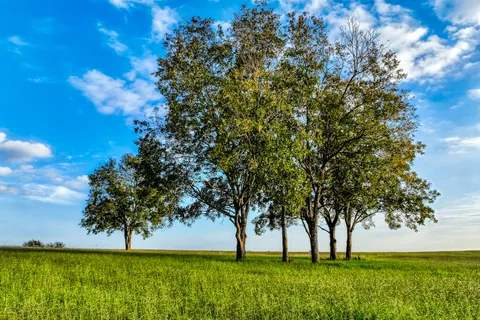 $277,466 | Tbd Tbd Sunny Hills Drive, Chappell Hill, TX 77426