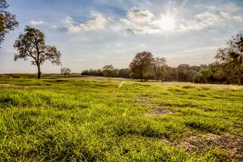 $277,466 | Tbd Tbd Sunny Hills Drive, Chappell Hill, TX 77426