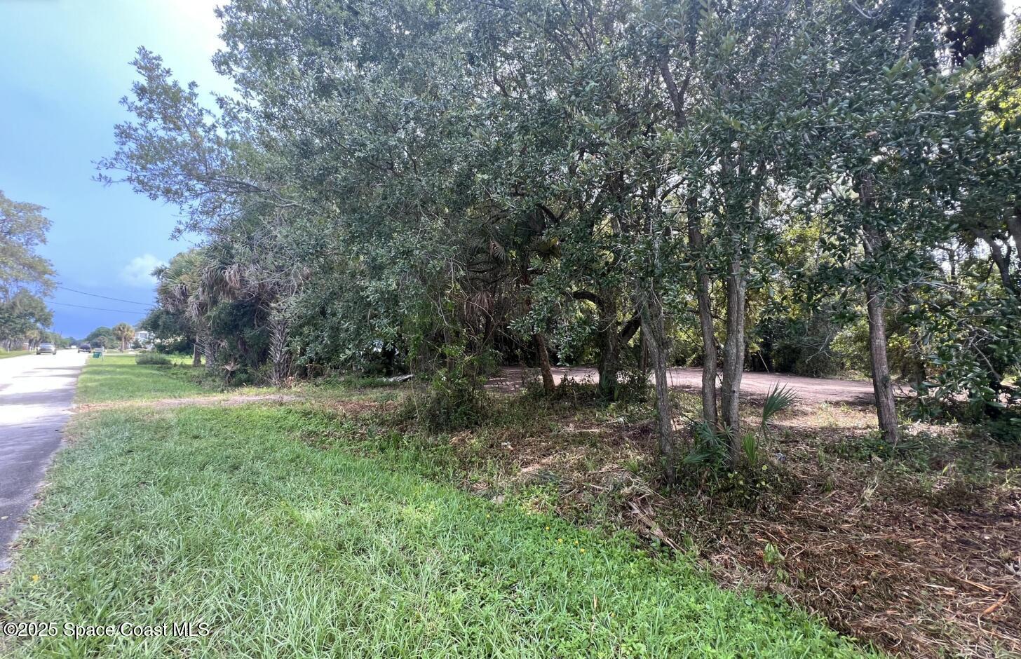 0 Riveredge Drive Titusville, FL 32780 - Photo 12 of 14 a view of a trees with a yard