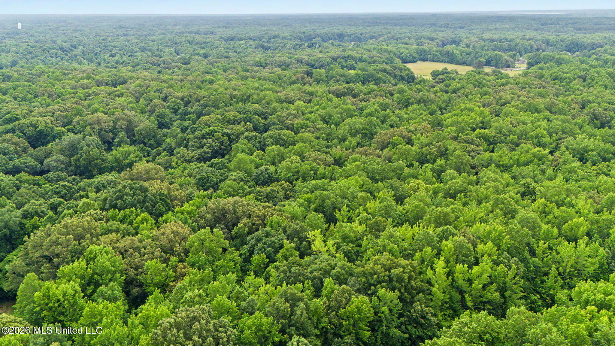 Tanyard Road Hernando, MS 38632 - Photo 11 of 13 3-web-or-mls-Tanyard Rd-3