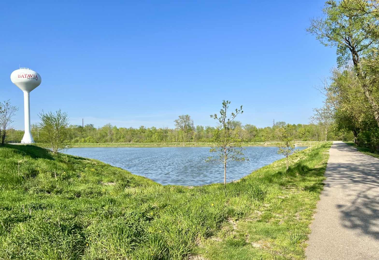 1663 Kraft Avenue Batavia, IL 60510 - Photo 43 of 47 a view of a lake with a yard