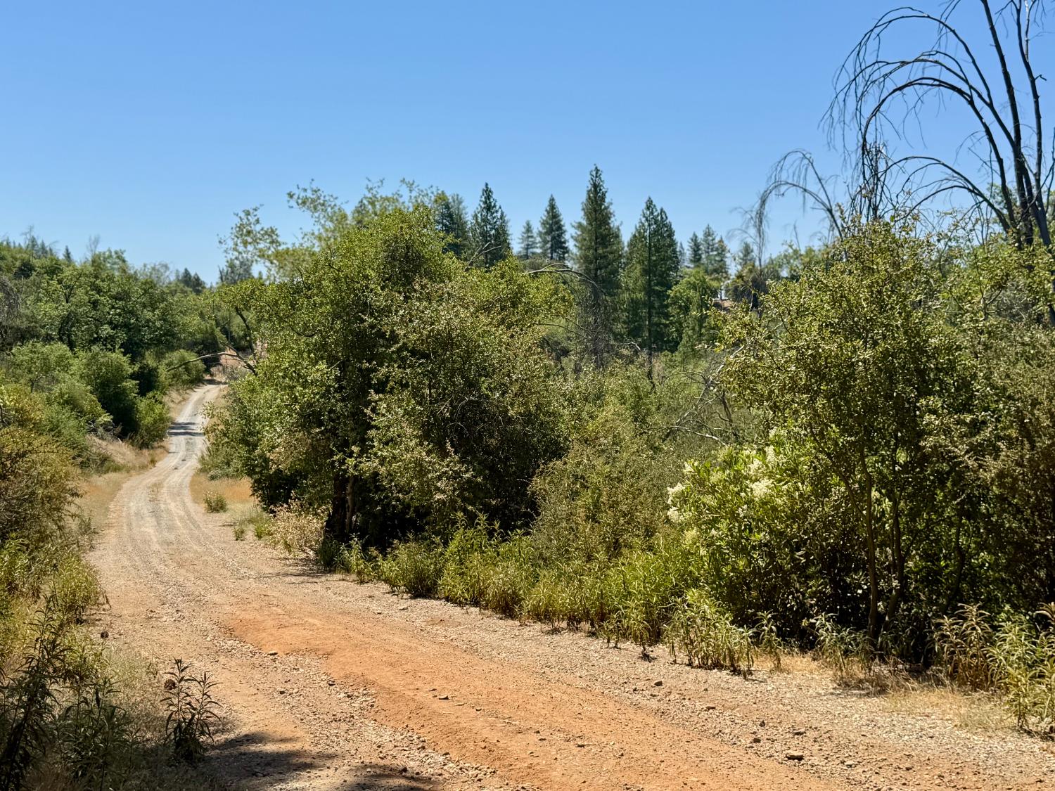 9055 Rodesino Road Mountain Ranch, CA 95246 - Photo 14 of 22