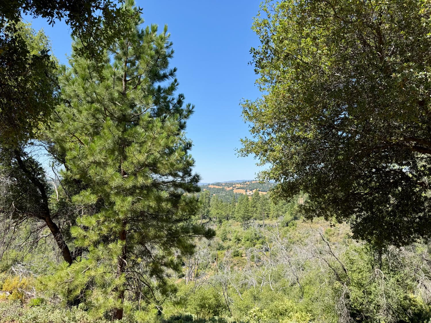 9055 Rodesino Road Mountain Ranch, CA 95246 - Photo 18 of 22