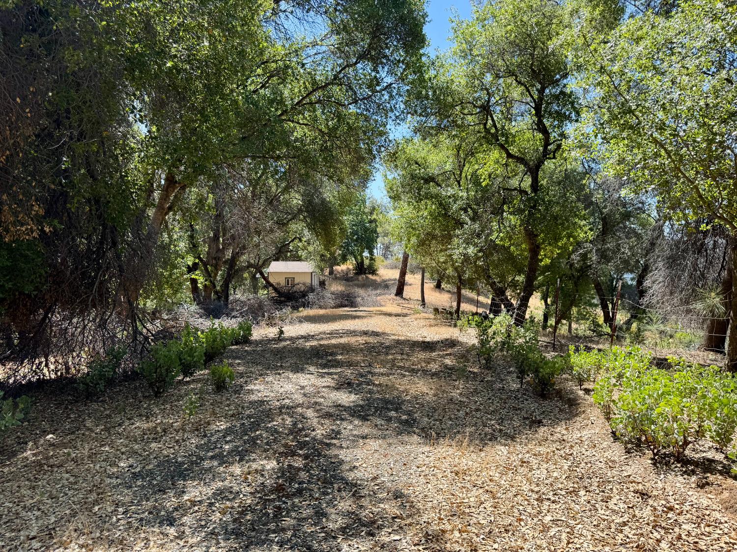 9055 Rodesino Road Mountain Ranch, CA 95246 - Photo 19 of 22