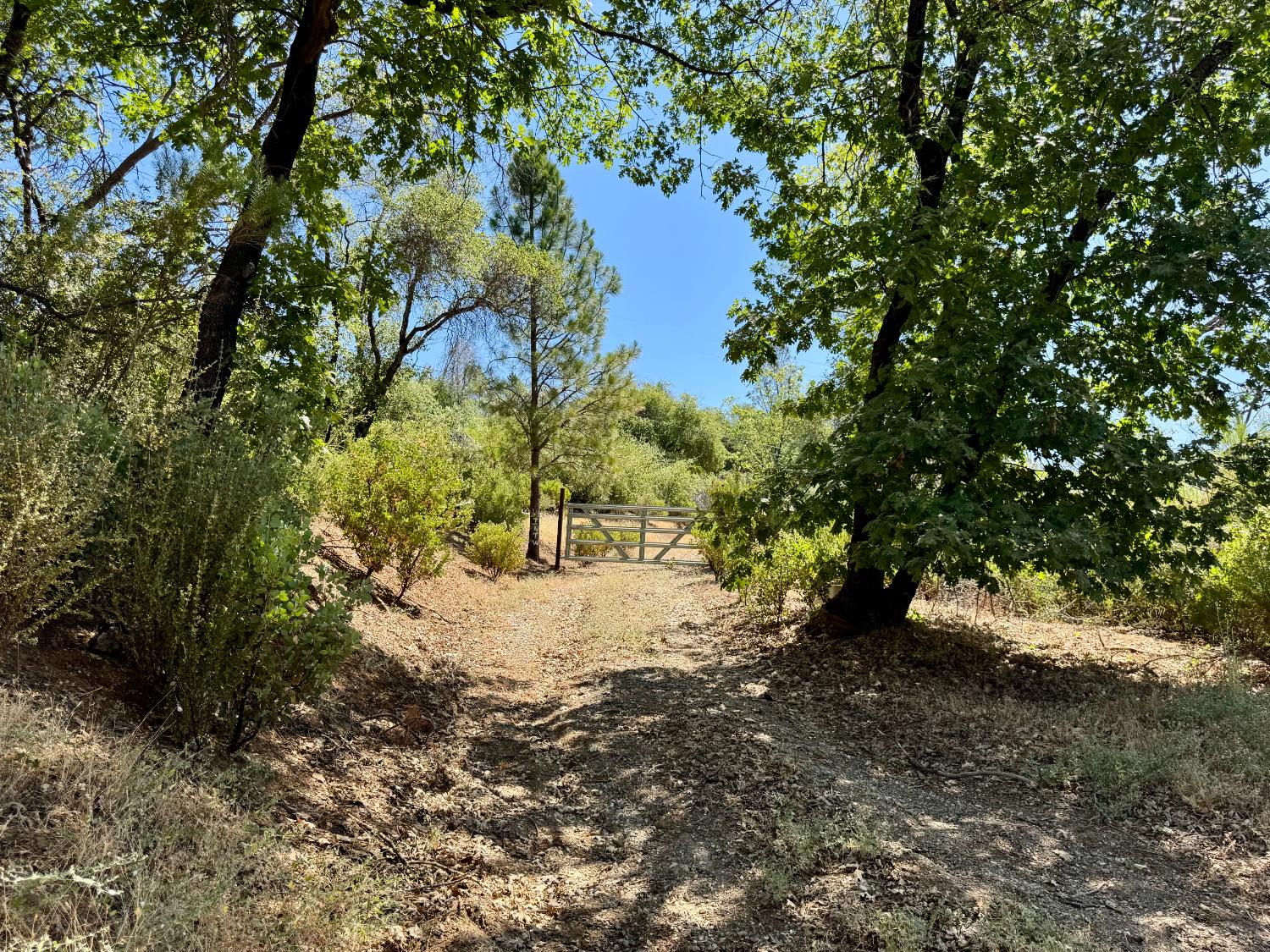 9055 Rodesino Road Mountain Ranch, CA 95246 - Photo 7 of 22