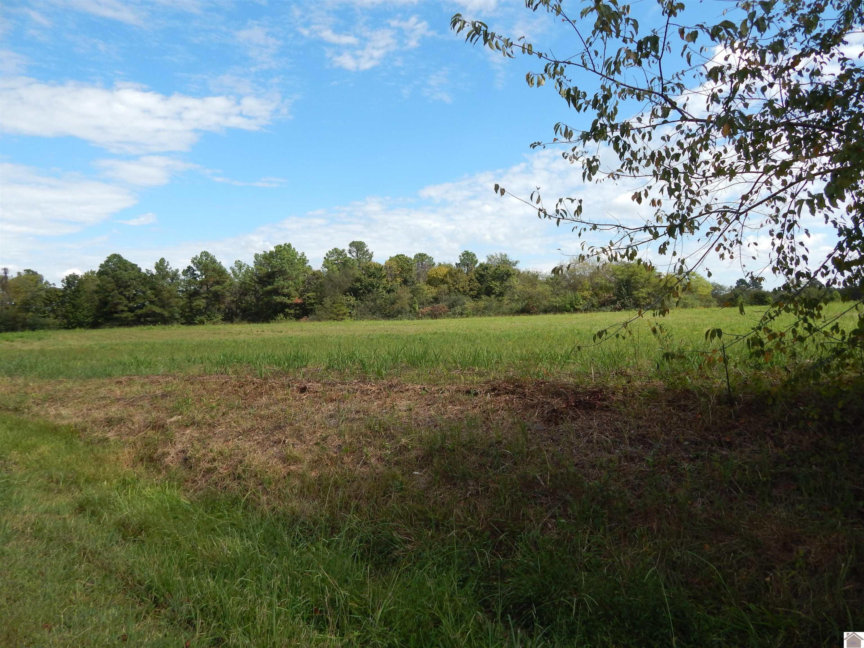0 Christian Fellowship Road Benton, KY 42025 - Photo 6 of 8 Photo 6