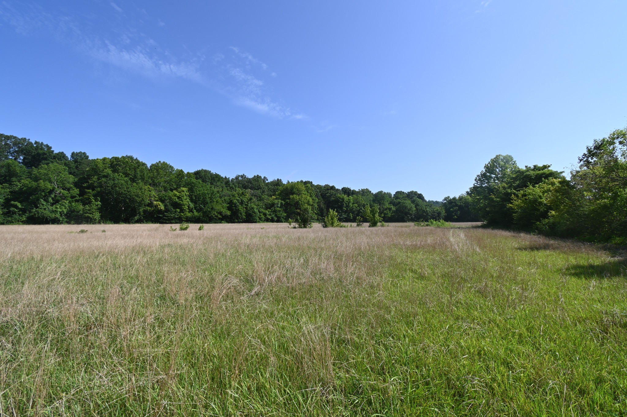 0 Culps Bend Road Clifton, TN 38425 - Photo 26 of 41