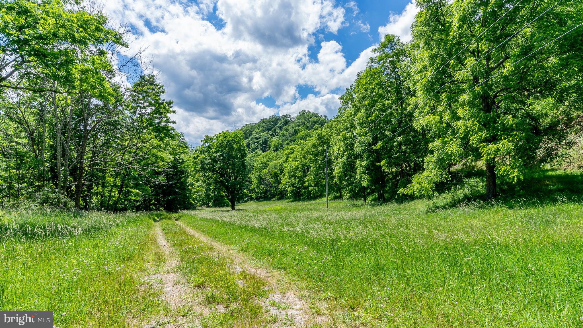 1862 Hawbush Road Circleville, WV 26804 - Photo 17 of 83